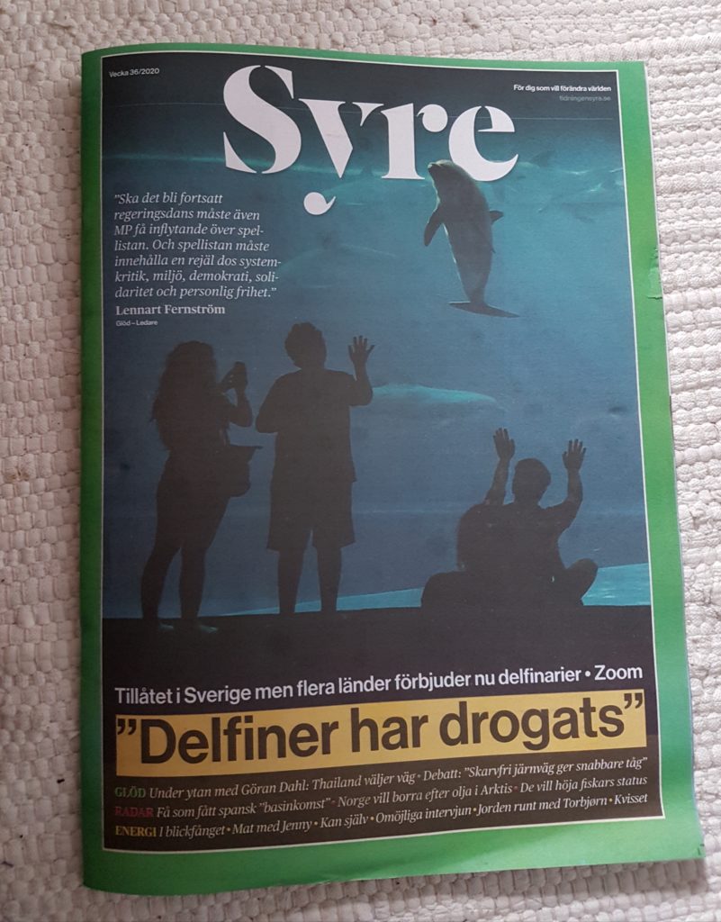 Delfiner har drogats