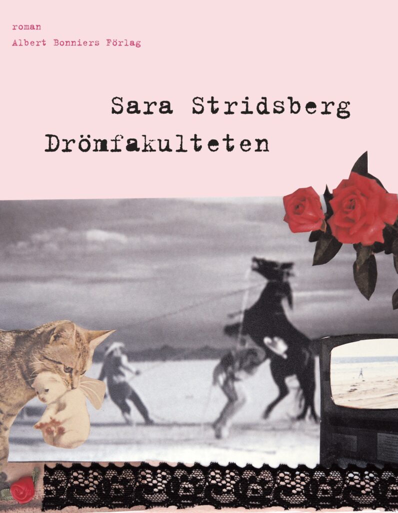 Bokomslag drömfakulteten av Sara Stridsberg